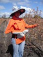 /album/fotogaleria/cuidando-la-plantacion-jpg/